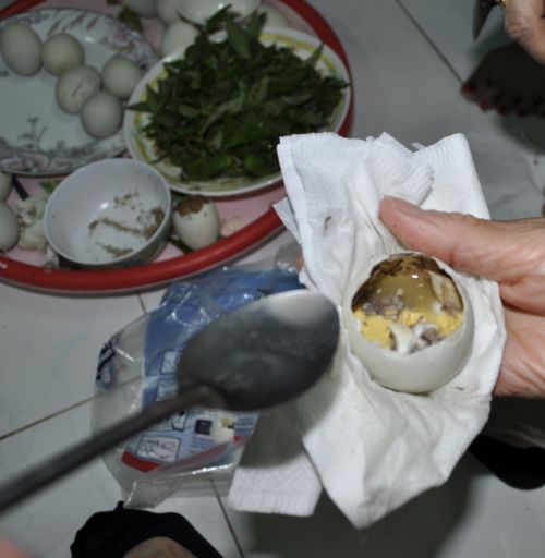 Balut2